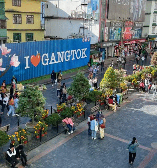 Discovery the beauty